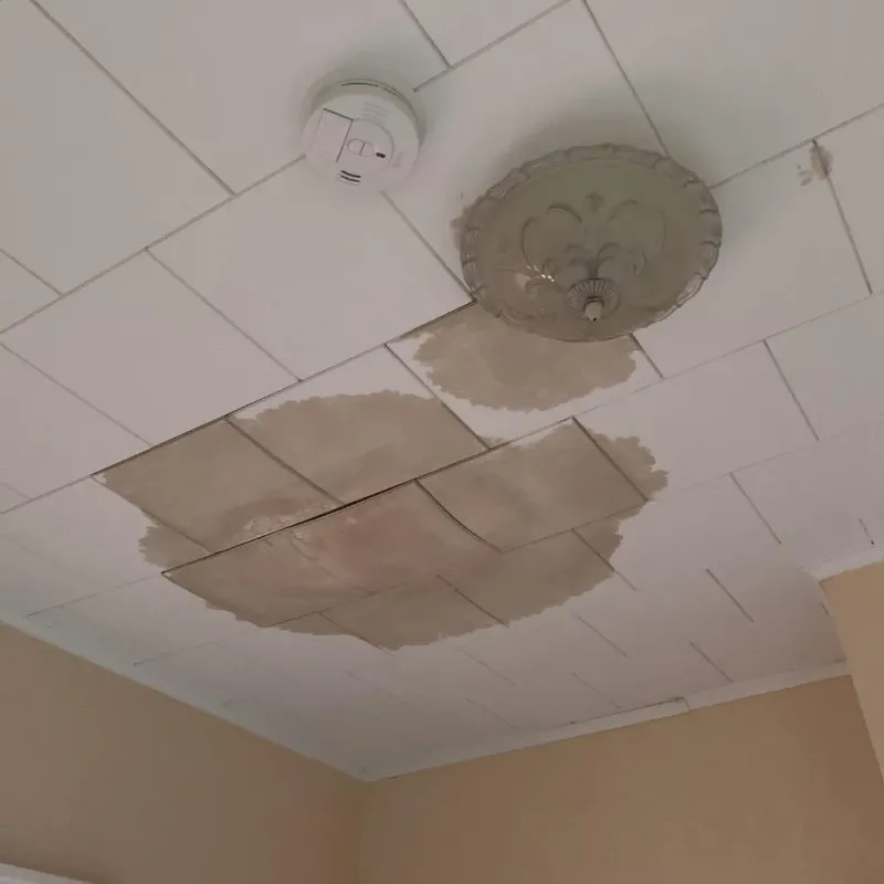 Ceiling Water Damage Repair in Volga, SD
