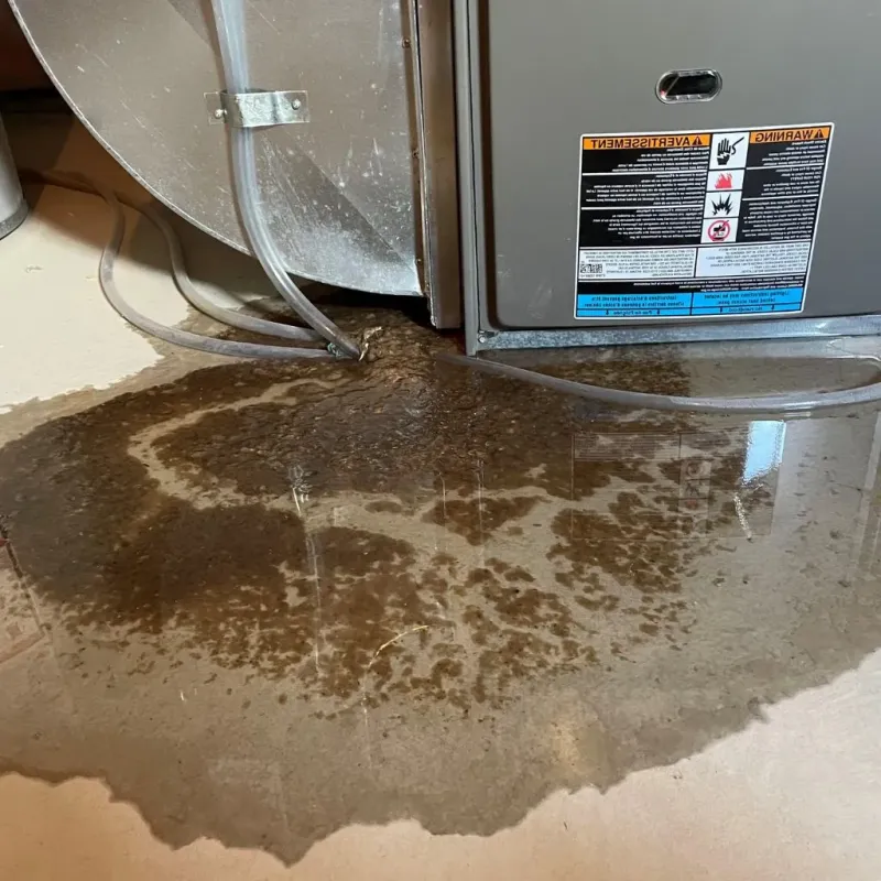 Pipe Burst and Leak Restoration in Volga, SD
