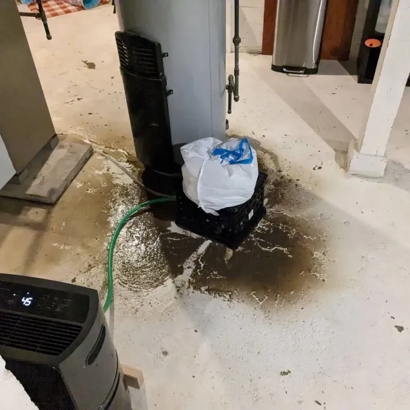Sewage Backup Cleanup Service in Volga, SD